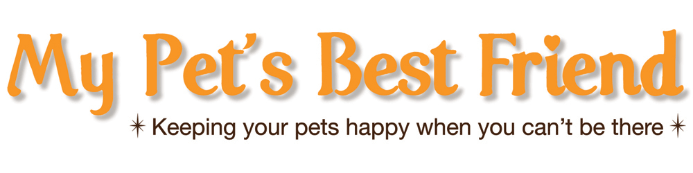 montreal-pet-sitter