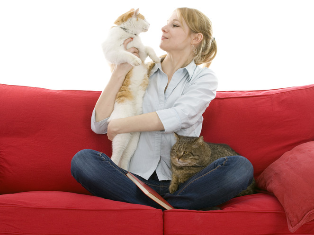 dog boarding Montreal, pet sitting and cat sitting, dog walking, pet casre montreal