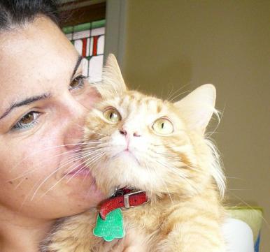doggy daycare boarding grooming cat dog montreal best pet